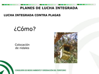¿Cómo?
Colocación
de nidales
PLANES DE LUCHA INTEGRADA
LUCHA INTEGRADA CONTRA PLAGAS
 