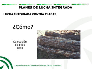 ¿Cómo?
Colocación
de pilas
cebo
PLANES DE LUCHA INTEGRADA
LUCHA INTEGRADA CONTRA PLAGAS
 
