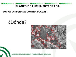 ¿Dónde?
PLANES DE LUCHA INTEGRADA
LUCHA INTEGRADA CONTRA PLAGAS
 