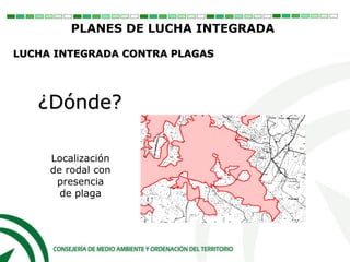 Localización
de rodal con
presencia
de plaga
PLANES DE LUCHA INTEGRADA
LUCHA INTEGRADA CONTRA PLAGAS
¿Dónde?
 