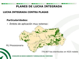 PLI Procesionaria
776.807 has distribuidas en 4525 rodales
Particularidades:
• Ámbito de aplicación muy extenso:
PLANES DE LUCHA INTEGRADA
LUCHA INTEGRADA CONTRA PLAGAS
 