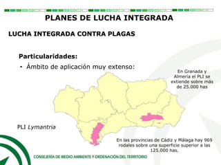 En Granada y
Almería el PLI se
extiende sobre más
de 25.000 has
PLI Lymantria
En las provincias de Cádiz y Málaga hay 969
rodales sobre una superficie superior a las
125.000 has.
Particularidades:
• Ámbito de aplicación muy extenso:
PLANES DE LUCHA INTEGRADA
LUCHA INTEGRADA CONTRA PLAGAS
 