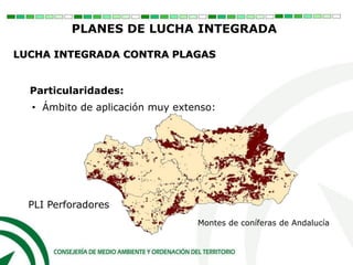 Montes de coníferas de Andalucía
PLI Perforadores
Particularidades:
• Ámbito de aplicación muy extenso:
PLANES DE LUCHA INTEGRADA
LUCHA INTEGRADA CONTRA PLAGAS
 