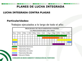 Trabajos ejecutados a lo largo de todo el año:
Particularidades:
PLANES DE LUCHA INTEGRADA
LUCHA INTEGRADA CONTRA PLAGAS
Tratamientos Aéreos
Tratamientos Feromonas
Tratamientos con Cañón
Tratamientos Manuales
Colocación Nidales
PROGRAMA DE TRATAMIENTOS CONTRA
LA PROCESIONARIA DEL PINO
Dic.Nov.Oct.Sep.Ago.Jul.Jun.MayAbrMar.Feb.Ene.
PROGRAMA DE TRATAMIENTOS CONTRA
LA PROCESIONARIA DEL PINO
Dic.Nov.Oct.Sep.Ago.Jul.Jun.MayAbrMar.Feb.Ene.
 