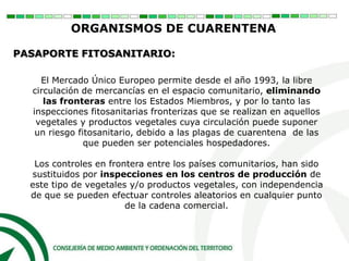 El Mercado Único Europeo permite desde el año 1993, la libre
circulación de mercancías en el espacio comunitario, eliminando
las fronteras entre los Estados Miembros, y por lo tanto las
inspecciones fitosanitarias fronterizas que se realizan en aquellos
vegetales y productos vegetales cuya circulación puede suponer
un riesgo fitosanitario, debido a las plagas de cuarentena de las
que pueden ser potenciales hospedadores.
Los controles en frontera entre los países comunitarios, han sido
sustituidos por inspecciones en los centros de producción de
este tipo de vegetales y/o productos vegetales, con independencia
de que se pueden efectuar controles aleatorios en cualquier punto
de la cadena comercial.
ORGANISMOS DE CUARENTENA
PASAPORTE FITOSANITARIO:
 