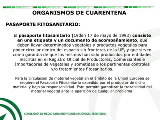 El pasaporte fitosanitario (Orden 17 de mayo de 1993) consiste
en una etiqueta y un documento de acompañamiento, que
deben llevar determinados vegetales y productos vegetales para
poder circular dentro del espacio sin fronteras de la UE, y que sirven
como garantía de que los mismos han sido producidos por entidades
inscritas en el Registro Oficial de Productores, Comerciantes e
Importadores de Vegetales y sometidas a los pertinentes controles
y/o tratamientos fitosanitarios.
Para la circulación de material vegetal en el ámbito de la Unión Europea se
requiere el Pasaporte Fitosanitario expedido por el productor de dicho
material y bajo su responsabilidad. Esto permite garantizar la trazabilidad del
material vegetal ante la aparición de cualquier problema.
ORGANISMOS DE CUARENTENA
PASAPORTE FITOSANITARIO:
 