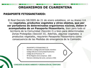 El Real Decreto 58/2005 de 21 de enero establece, en su Anexo V.A
los vegetales, productos vegetales y otros objetos, que por
ser portadores de determinados organismos nocivos, deben ir
acompañados de un Pasaporte fitosanitario, bien para todo el
territorio de la Comunidad (Sección I) o bien para determinadas
Zonas Protegidas (Sección II). Además, algunos vegetales o
productos vegetales, requieren Pasaporte Fitosanitario como
consecuencia de las Medidas de emergencia de la Comisión.
ORGANISMOS DE CUARENTENA
PASAPORTE FITOSANITARIO:
 