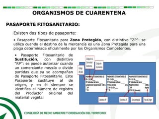 Existen dos tipos de pasaporte:
• Pasaporte Fitosanitario para Zona Protegida, con distintivo “ZP”: se
utiliza cuando el destino de la mercancía es una Zona Protegida para una
plaga determinada oficialmente por los Organismos Competentes.
ORGANISMOS DE CUARENTENA
PASAPORTE FITOSANITARIO:
• Pasaporte Fitosanitario de
Sustitución, con distintivo
“RP”: se puede autorizar cuando
un comerciante mezcla o divide
partidas que ya se acompañan
de Pasaporte Fitosanitario. Este
Pasaporte sustituye al de
origen, y en él siempre se
identifica el número de registro
del Productor original del
material vegetal
 