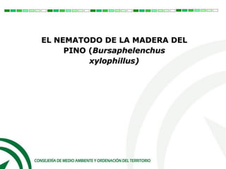 EL NEMATODO DE LA MADERA DEL
PINO (Bursaphelenchus
xylophillus)
 