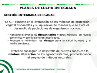 PLANES DE LUCHA INTEGRADA
GESTIÓN INTEGRADA DE PLAGAS
La GIP consiste en la evaluación de los métodos de protección
vegetal disponibles y su aplicación de manera que se evite el
desarrollo de poblaciones de organismos nocivos.
• Mantiene el empleo de fitosanitarios y otros métodos en niveles
económica y ecológicamente justificados.
• Reducen o minimizan los riesgos para la salud humana y el
medio ambiente.
Pretende conseguir un desarrollo de cultivos sanos con la
mínima alteración de los agroecosistemas, promocionando
el empleo de métodos naturales.
 
