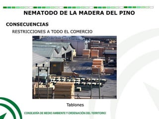 Tablones
RESTRICCIONES A TODO EL COMERCIO
CONSECUENCIAS
NEMATODO DE LA MADERA DEL PINO
 