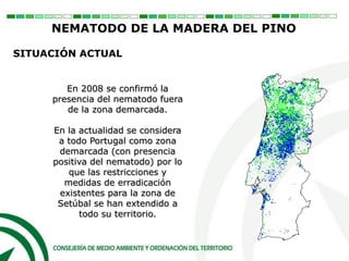 En 2008 se confirmó la
presencia del nematodo fuera
de la zona demarcada.
En la actualidad se considera
a todo Portugal como zona
demarcada (con presencia
positiva del nematodo) por lo
que las restricciones y
medidas de erradicación
existentes para la zona de
Setúbal se han extendido a
todo su territorio.
#
#
#
#
## #
## #
##
#
#
#
#
# #
#
# #
# #
#
#
#
# #
#
#
#
# #
# #
#
#
# ## #
#
#
# #
#
#
#
#
#
##
##
#
# # #
##
# #
# #
#
#
# #
#
####
#
##
#
#
#
#
# # #
#
##
##
#
#
#
#
##
#
#
#
##
#
# #
#
#
##
#
# ##
#
#
#
# #
##
#
#
## #
#
# #
#
#
# #
#
###
#
## #
#
#
##
###
#
#
## #
#
#
##
#
#
#
#
#
#
#
#
# #
# #
#
# #
# #
#
## #
#
#
# #
#
#
#
#
#
##
#
#
#
#
##
# ###
##
#
#
#
#
#
#
# #
####
####
#
#
#
#
#
#
#
#
#
#
#
#
#
#
# #
#
#
##
##
# #
##
# #
#
#
#
#
##
#
#
#
#
#
# #
#
#
#
## #
# #
#
# # # #
#
#
#
#
#
## #
#
#
#
##
#
#
#
# ##
#
#
#
# #
#
##
#
# #
#
# #
#
#
#
# #
# # #
# ##
#
# #
#
#
#
#
#
#
#
#
# #
#
#
#
#
#
#
#
#
#
# ##
#
#
#
#
# #
# # #
#
#
#
#
##
#
## #
#
#
#
#
#
#
#
#
#
# #
#
# #
#
#
## #
###
##
#
# #
#
# #
# #
# #
#
#
#
#
##
#
#
#
#
#
##
#
# #
#
#
#
#
#
#
#
#
#
##
#
## #
##
#
#
#
##
#
# #
#
#
#
#
# #
##
#
#
#
#
#
#
#
#
#
###
#
##
#
# #
#
#
#
##
# ##
#
#
# #
##
# #
#
#
#
#
#
##
##
#
# #
#
# #
#
# #
# ##
#
#
##
# #
#
#
#
#
# #
##
#
#
#
#
#
#
##
#
#
# #
# #
#
#
#####
#######
# #
# #
## #
##
# #
#
##
##
## ## #
###
#
#
#
#
#
###
# #
#
##
#
##
##
# #
#
#
#
# #
#
#
#
# #
#
#
#
# #
#
#
#
##
#
##
##
#
####
#
###
##
#### #
# ##
#
# # # #
# # #
# #
# #
#
#
#
# #
###
#
##
##
#
#
#
#
#
# ##
#
#
#
#
#
#
#
# #
#
#
#
#
#
#
#
#
#
#
#
##
#
#
#
#
#
#
## #
#
# #
#
#
#
##
# # # #
# ##
##
#
#
# #
##
##
# #
## #
#
## #
# #
##
# #
#
#
#
#
#
#
#
#
#
#
##
#
##
# #
##
# ##
##
#
# #
#
#
#
##
#
# #
###
#
#
#
#
#
# #
#
#
#
#
##
#
#
#
#
#
#
#
##
#
#
#
#
#
# #
#
#
#
#
#
###
##
##
#
##
#
#
#
## #
#
#
# #
#
#
# #
# #
#
# #
#
#
###
#
#
# #
#
#
# #
##
#
#
#
##
#
# ##
# ###
##
#
#
##
#
# #
#
#
#
#
#
#
# #
#
#
#
#
#
# #
###
####
####
##
## #
#
# # #
## #
# #
#
# #
#
#
#
#
#
#
#
#
#
#
#### #
## #
#
# #
#
#
##
#
### #
#
#
#
##
#
#
#
#
# #
# #
# #
#
#
#
##
##
###
#
#
#
# #
#
#
# #
#
#
#
#
#
#
#
#
#
### #
# # #
#
#
#
##
##
##
## #
#
#
#
# # ###
#
#
#
#
##
# # # #
# # #
#
#
#
# #
##
## ##
# # #
# ##
# # #
# ##
## #
# ####
#
#
##
#
##
#
##
#
#
# #
# #
#
#
# #
#
#
#
#
# #
# ##
# #
#
#
##
# ##
#
# #
#
#
##
##
#
# ##
#
# #
# #
#
#
##
#
# ###
###
# # #
#
# #
#
#
## #
###
# # ##
# # #
##
##
#
# #
# #
# #
#
# #
##
# # #
#
#
##
##
#
#
#
# #
# # #
# #
#
#
#
# #
# #
#
#
#
#
#
#
#
#
#
#
#
#
#
#
#
##
## #
##
#
#
#
####
## #
# ####
# # #
###
#
###
# #
#
#### ##
# # ##
####
####
#
#
##
#
###
## #
#
#
#
#
#
#
# ##
#
## #
# #
# # #
####
#
#
#
#
#
#
#
#
#
# # #
# # #
## #
#### #
#
#
#
#
## #
## #
## #
#
# ## #
#
#
# #
#
#
#
# ##
#
#
#
#
#
###
#
#
##
#
#
#
#
#
## #
#
# #
# ## ##
# #
#
#
# ##
## ##
### #
####
#
#
#
###
#
#
##
#
#
##
#
#
#
## #
#
#
#
##
#
###
#
###
# #
# #
#
## #
#
#
#
##
#
##
#
# ##
# # #
##
###
###
#
#
###
##
#
###
## #
# #
#
#
# #
#
#
#######
## #
##
#
## ####
# #### #
## ###
# #
# # # #
#
#
#
### #
# #
#####
# ###
## ####
# #
#
#
#
#
# #
#
#
#
##
##
# #
# ##
#
#
#
### #
# #
#
##
#
## #
#
#
#
##
#
#
#
## #
#
##
##
##
#
#
# #
#
# #
##
#
# #
#
# #
### ##
# # #
# # # #
## # ##
# ####
##
#
##
###
# #
### #
## # #
#
##
#
#
# # #
# #
#### #
# # #
#
# #
## #
###
####
#
### #
###
#
#
# #
#
#
#
#
#
#
# # #
## ##
## #
##
#
##
#
##
# #
#
# #
#
#
#
#
##
#
## ##
#
##
# #
#
#
### ##
##### #
#####
# #
#
#
#
#
# #
#
#
#
#
### ##
##
#
#
#
#
# #
##
#
#
# #
# ##
##
#
#
# #
#
##
# # #
#
##
#
#
#
#
#
#
#
#
#
#
#
##
#
# ##
#
#
#
#
#
#
## #
#
#
# #
#
# ##
#
#
#
#
#
###
#
#
###
###
###
# #
# #
#
#
#
#
#
##
#
#
# #
#
#
#
#
#
#
#
##
#
#
#
#
#
##
#
#
#
# #
###
#
#
#
##
#
# #
#
#
#
#
# ##
# #
#
#
#
#
#
#
#
#
#
#
#
# #
#
#
#
#
#
#
##
#
#
#
#
# #
# #
# #
#
#
#
# # #
#
#
#
#
#
#
#
#
#
###
#
#
#
# #
#
#
# #
##
### #
#
#
#
#
##
#
#
#
##
#
# #
# #
#
#
# #
#
# #
#
#
#
# ##
# #
#
#
##
#
#
#
#
#
##
#
# #
#
## # #
#
#
#
#
#
#
# #
#
# ##
#
# #
#
# # #
#
#
#
#
#
#
#
#
#
##
####
# # #
###
# #
#
#
#
##
## #
#
#
#
# #
####
###
####
## #
#
# #
#
##
##
#
# #
##
#
#
##
#
#
#
# #
#
#
###
###
#
# #
# ##
#
#
#
#
#
# #
#
#
#
#
#
#
# #
#
##
#
#
##
#
#
#
#
#
#
#
# #
#
#
#
#
#
#
#
##
#
##
#
#
#
#
#
##
SITUACIÓN ACTUAL
NEMATODO DE LA MADERA DEL PINO
 
