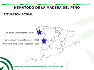 Valverde del Fresno (Cáceres) - 2012
Villanueva de la Sierra (Cáceres) - 2008
As Neves (Pontevedra) - 2010
SITUACIÓN ACTUAL
NEMATODO DE LA MADERA DEL PINO
 
