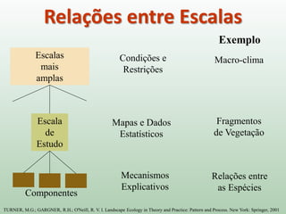 Relações entre Escalas
Escala
de
Estudo
Escalas
mais
amplas
TURNER, M.G.; GARGNER, R.H.; O'Neill, R. V. l. Landscape Ecology in Theory and Practice: Pattern and Process. New York: Springer, 2001
Componentes
Condições e
Restrições
Mapas e Dados
Estatísticos
Mecanismos
Explicativos
Macro-clima
Fragmentos
de Vegetação
Relações entre
as Espécies
Exemplo
 