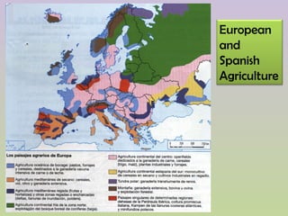 European
and
Spanish
Agriculture
 