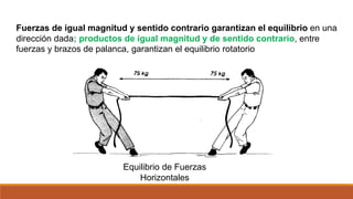 Fuerzas de igual magnitud y sentido contrario garantizan el equilibrio en una
dirección dada; productos de igual magnitud y de sentido contrario, entre
fuerzas y brazos de palanca, garantizan el equilibrio rotatorio
Equilibrio de Fuerzas
Horizontales
 
