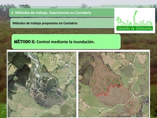 Baccharis halimifolia en Cantabria – Experiencias realizadas-


5. Métodos de trabajo. Experiencias en Cantabria

Métodos de trabajo propuestos en Cantabria




 MÉTODO II: Control mediante la inundación.




                                  Incluir peso retirado
 