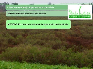 Baccharis halimifolia en Cantabria – Experiencias realizadas-


5. Métodos de trabajo. Experiencias en Cantabria

Métodos de trabajo propuestos en Cantabria




MÉTODO III: Control mediante la aplicación de herbicida.
 