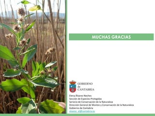 MUCHAS GRACIAS




Elena Álvarez Neches
Sección de Especies Protegidas
Servicio de Conservación de la Naturaleza
Dirección General de Montes y Conservación de la Naturaleza
Gobierno de Cantabria
alvarez_el@cantabria.es
 