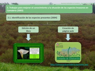 Baccharis halimifolia en Cantabria – Experiencias realizadas-


2. Trabajos para mejorar el conocimiento y la situación de las especies invasoras en
Cantabria (2003)


2.1. Identificación de las especies presentes (2004)



               Edición de un                              Creación de
                    libro                                 página web




                                            http://invasorasdecantabria.dgmontes.org/
 