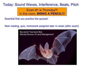 Today: Sound Waves, Interference, Beats, Pitch ,[object Object],[object Object],Exam #1 is Thursday!!! In this room,  BRING A PENCIL!!! Big eared Townsend Bat, Nevada Bureau of Land Management  