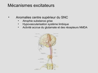 • Anomalies centre supérieur du SNC
• Atrophie substance grise
• Hypovascularisation système limbique
• Activité accrue du...