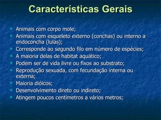 Características Gerais Animais com corpo mole; Animais com esqueleto externo (conchas) ou interno a endoconcha (lulas); Corresponde ao segundo filo em número de espécies; A maioria delas de habitat aquático; Podem ser de vida livre ou fixos ao substrato; Reprodução sexuada, com fecundação interna ou externa; Maioria dióicos; Desenvolvimento direto ou indireto; Atingem poucos centímetros a vários metros; 