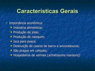 Características Gerais Importância econômica: Indústria alimentícia; Produção de jóias; Produção de nanquim; Isca para pesca; Destruição de cascos de barco e ancoradouros; São pragas em cafezais; Hospedeiros de vermes ( schistosoma mansoni); 