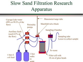 Slow Sand Filtration Research
Apparatus
Sampling tube
Lower to collect sample
Manifold/valve block
Peristaltic
pumps
Manometer/surge tube
Cayuga Lake water
(99% or 99.5% of the
flow)
Auxiliary feeds
(each 0.5% of
the flow)
1 liter E.
coli feed
1 liter
sodiu
m
To waste
Filter cell with
18 cm of glass beads
Sampling Chamber
 