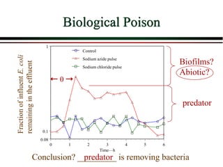 Biological Poison
Fraction
of
influent
E.
coli
remaining
in
the
effluent
predator
predator
Biofilms?
Abiotic?
Conclusion? _________ is removing bacteria
0.08
0.1
1
0 1 2 3 4 5 6
Time—h
Control
Sodium azide pulse
Sodium chloride pulse
q
 