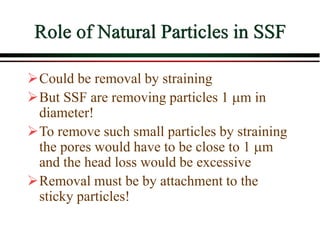 Role of Natural Particles in SSF
Could be removal by straining
But SSF are removing particles 1 m in
diameter!
To remove such small particles by straining
the pores would have to be close to 1 m
and the head loss would be excessive
Removal must be by attachment to the
sticky particles!
 