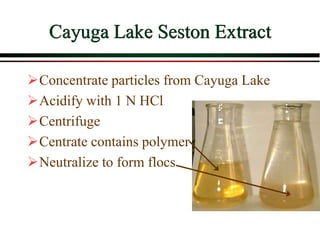 Cayuga Lake Seston Extract
Concentrate particles from Cayuga Lake
Acidify with 1 N HCl
Centrifuge
Centrate contains polymer
Neutralize to form flocs
 