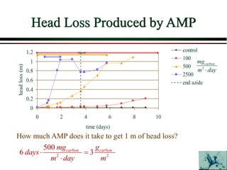 Head Loss Produced by AMP
0
0.2
0.4
0.6
0.8
1
1.2
0 2 4 6 8 10
time (days)
head
loss
(m)
control
100
500
2500
end azide
2
carbon
mg
m day

How much AMP does it take to get 1 m of head loss?
2 2
500
6 3
carbon carbon
mg g
days
m day m
 

 