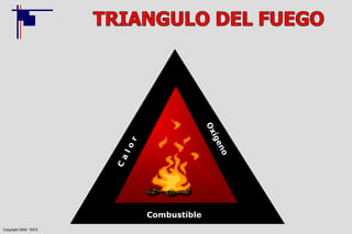 Copyright 2009, TEEX
Combustible
 
