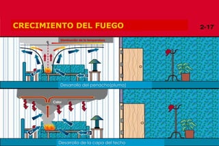 Copyright 2009, TEEX
CRECIMIENTO DEL FUEGO
Desarrollo del penacho(pluma)
Desarrollo de la capa del techo
Disminución de la temperatura
Calor
 