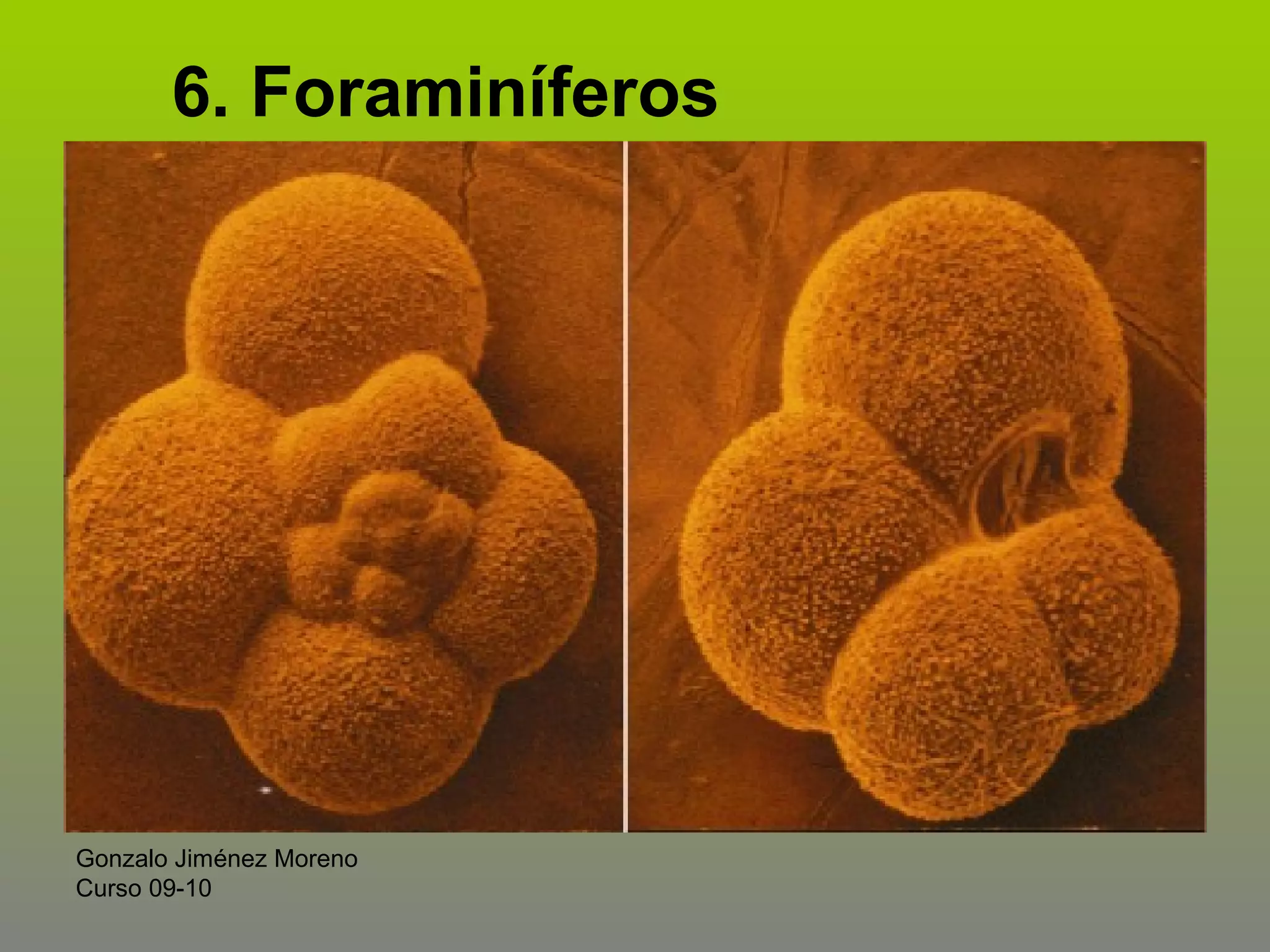 6. Foraminíferos

Gonzalo Jiménez Moreno
Curso 09-10

 