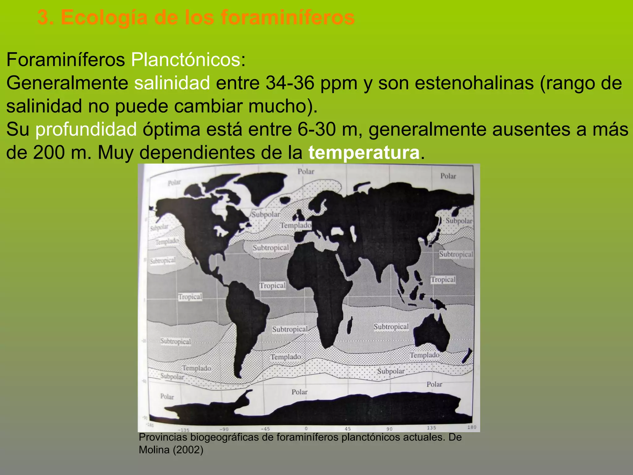 3. Ecología de los foraminíferos
Foraminíferos Planctónicos:
Generalmente salinidad entre 34-36 ppm y son estenohalinas (rango de
salinidad no puede cambiar mucho).
Su profundidad óptima está entre 6-30 m, generalmente ausentes a más
de 200 m. Muy dependientes de la temperatura.

Provincias biogeográficas de foraminíferos planctónicos actuales. De
Molina (2002)

 