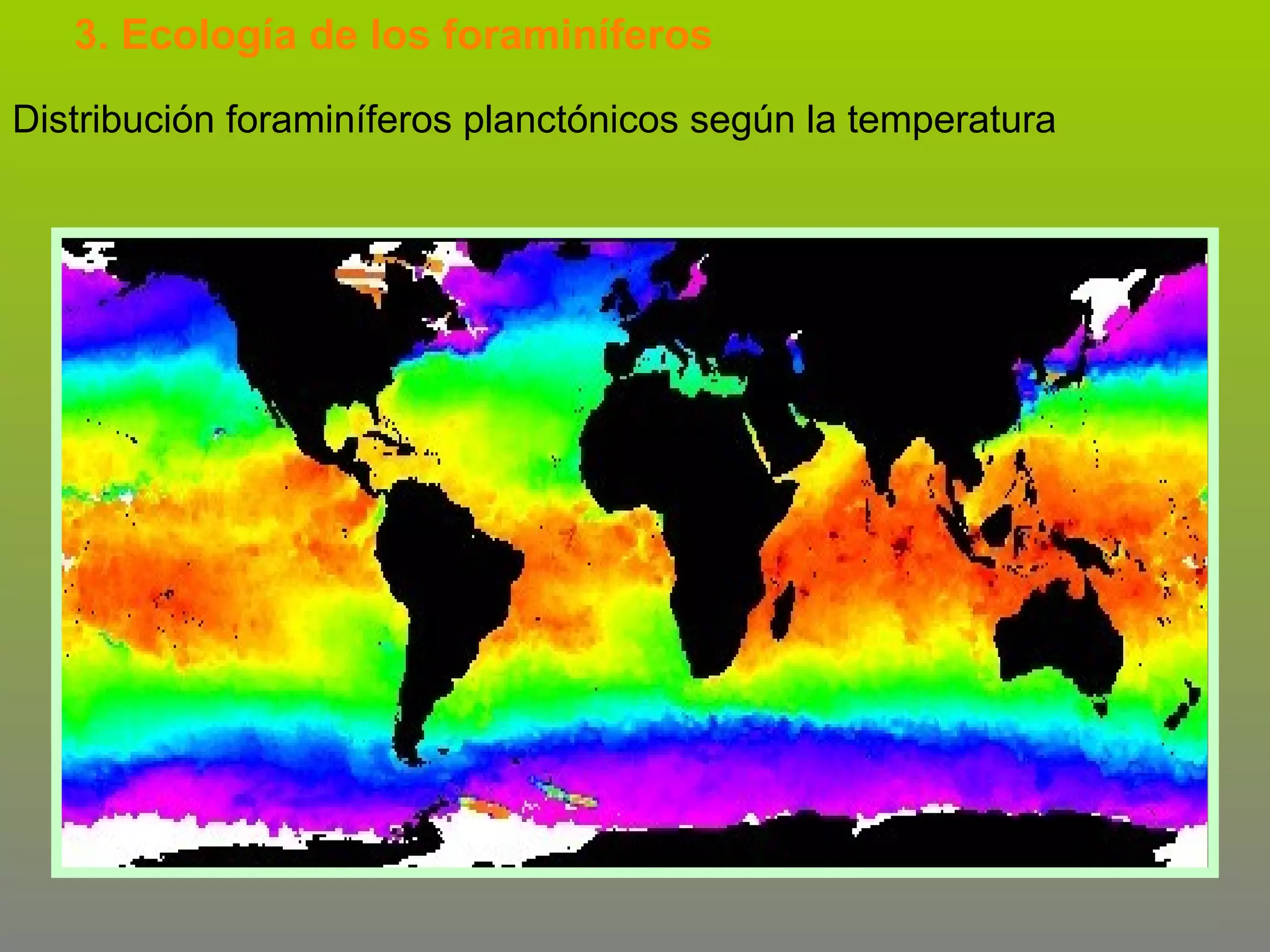 3. Ecología de los foraminíferos
Distribución foraminíferos planctónicos según la temperatura

 