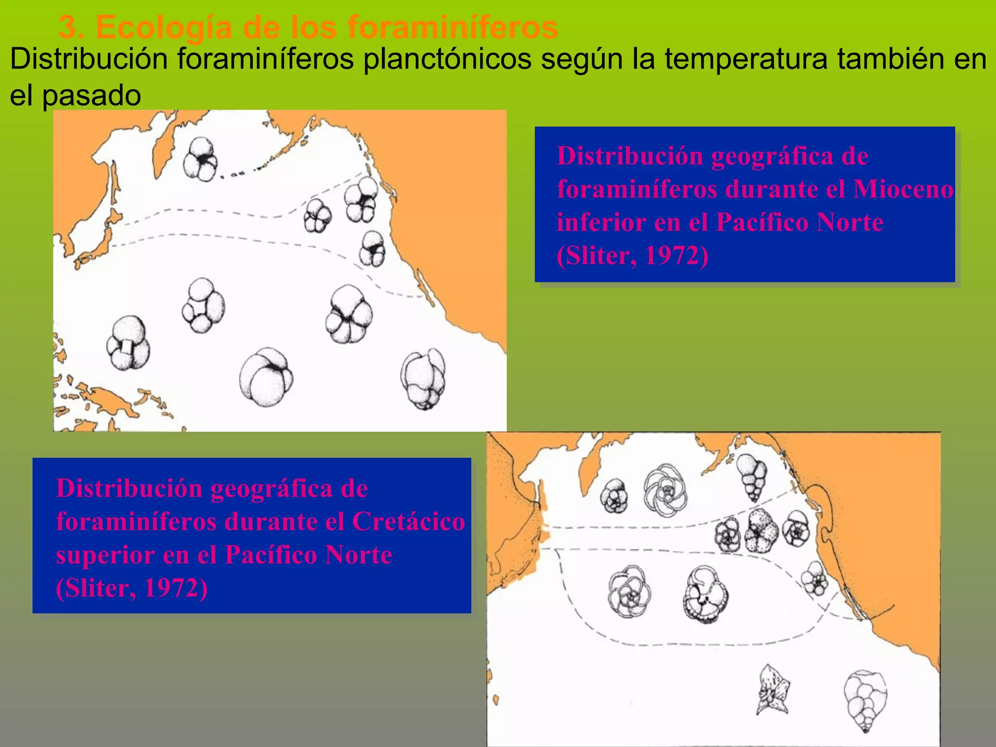 3. Ecología de los foraminíferos

Distribución foraminíferos planctónicos según la temperatura también en
el pasado
Distribución geográfica de
foraminíferos durante el Mioceno
inferior en el Pacífico Norte
(Sliter, 1972)

Distribución geográfica de
foraminíferos durante el Cretácico
superior en el Pacífico Norte
(Sliter, 1972)

 