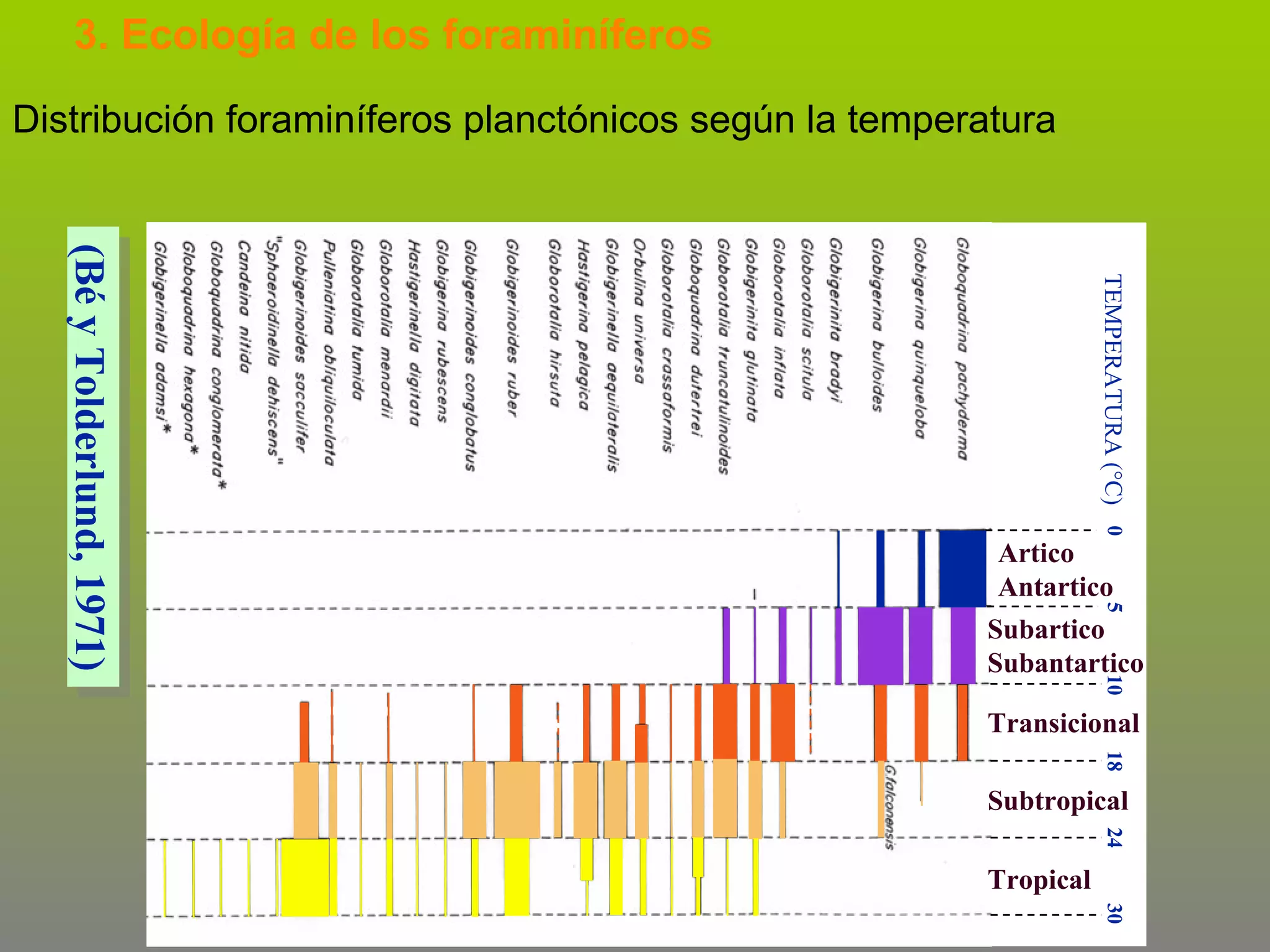 3. Ecología de los foraminíferos
Distribución foraminíferos planctónicos según la temperatura

TEMPERATURA (°C) 0
5

(Bé y Tolderlund, 1971)

Artico
Antartico

10

Subartico
Subantartico
Transicional
18

Subtropical
24

Tropical
30

 