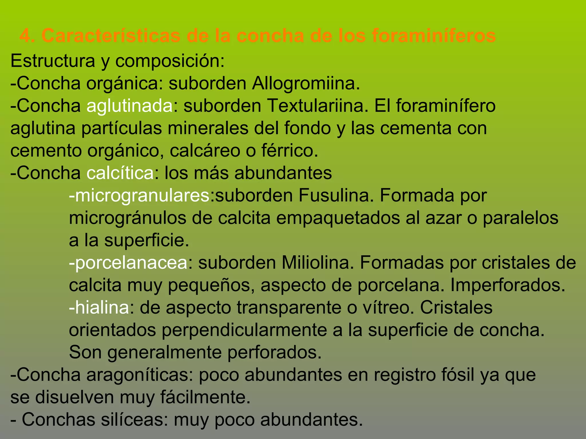 4. Características de la concha de los foraminíferos
Estructura y composición:
-Concha orgánica: suborden Allogromiina.
-Concha aglutinada: suborden Textulariina. El foraminífero
aglutina partículas minerales del fondo y las cementa con
cemento orgánico, calcáreo o férrico.
-Concha calcítica: los más abundantes
-microgranulares:suborden Fusulina. Formada por
microgránulos de calcita empaquetados al azar o paralelos
a la superficie.
-porcelanacea: suborden Miliolina. Formadas por cristales de
calcita muy pequeños, aspecto de porcelana. Imperforados.
-hialina: de aspecto transparente o vítreo. Cristales
orientados perpendicularmente a la superficie de concha.
Son generalmente perforados.
-Concha aragoníticas: poco abundantes en registro fósil ya que
se disuelven muy fácilmente.
- Conchas silíceas: muy poco abundantes.

 