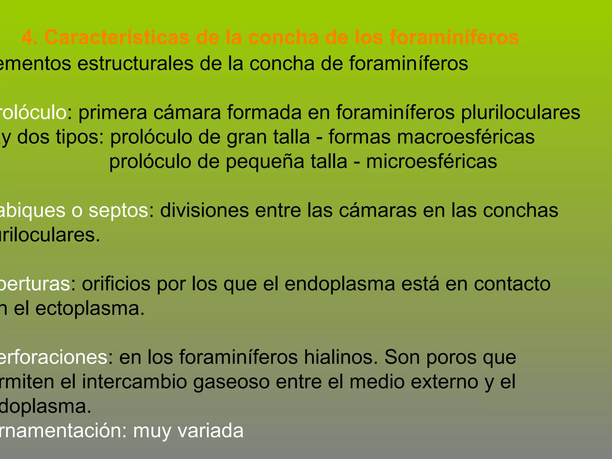 4. Características de la concha de los foraminíferos
ementos estructurales de la concha de foraminíferos

rolóculo: primera cámara formada en foraminíferos pluriloculares
ay dos tipos: prolóculo de gran talla - formas macroesféricas
prolóculo de pequeña talla - microesféricas

abiques o septos: divisiones entre las cámaras en las conchas
uriloculares.

berturas: orificios por los que el endoplasma está en contacto
n el ectoplasma.

erforaciones: en los foraminíferos hialinos. Son poros que
rmiten el intercambio gaseoso entre el medio externo y el
doplasma.
rnamentación: muy variada

 