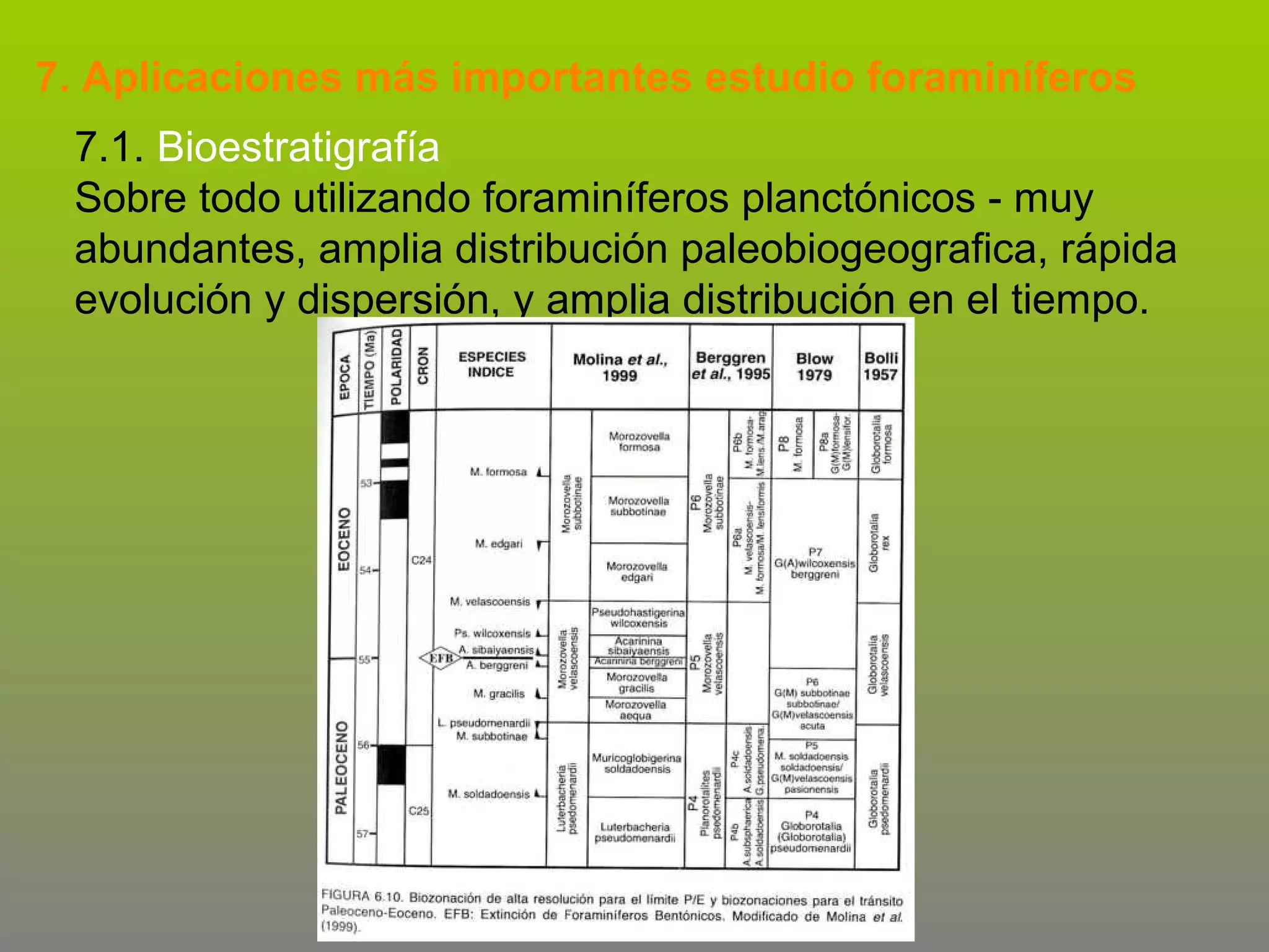7. Aplicaciones más importantes estudio foraminíferos
7.1. Bioestratigrafía
Sobre todo utilizando foraminíferos planctónicos - muy
abundantes, amplia distribución paleobiogeografica, rápida
evolución y dispersión, y amplia distribución en el tiempo.

 