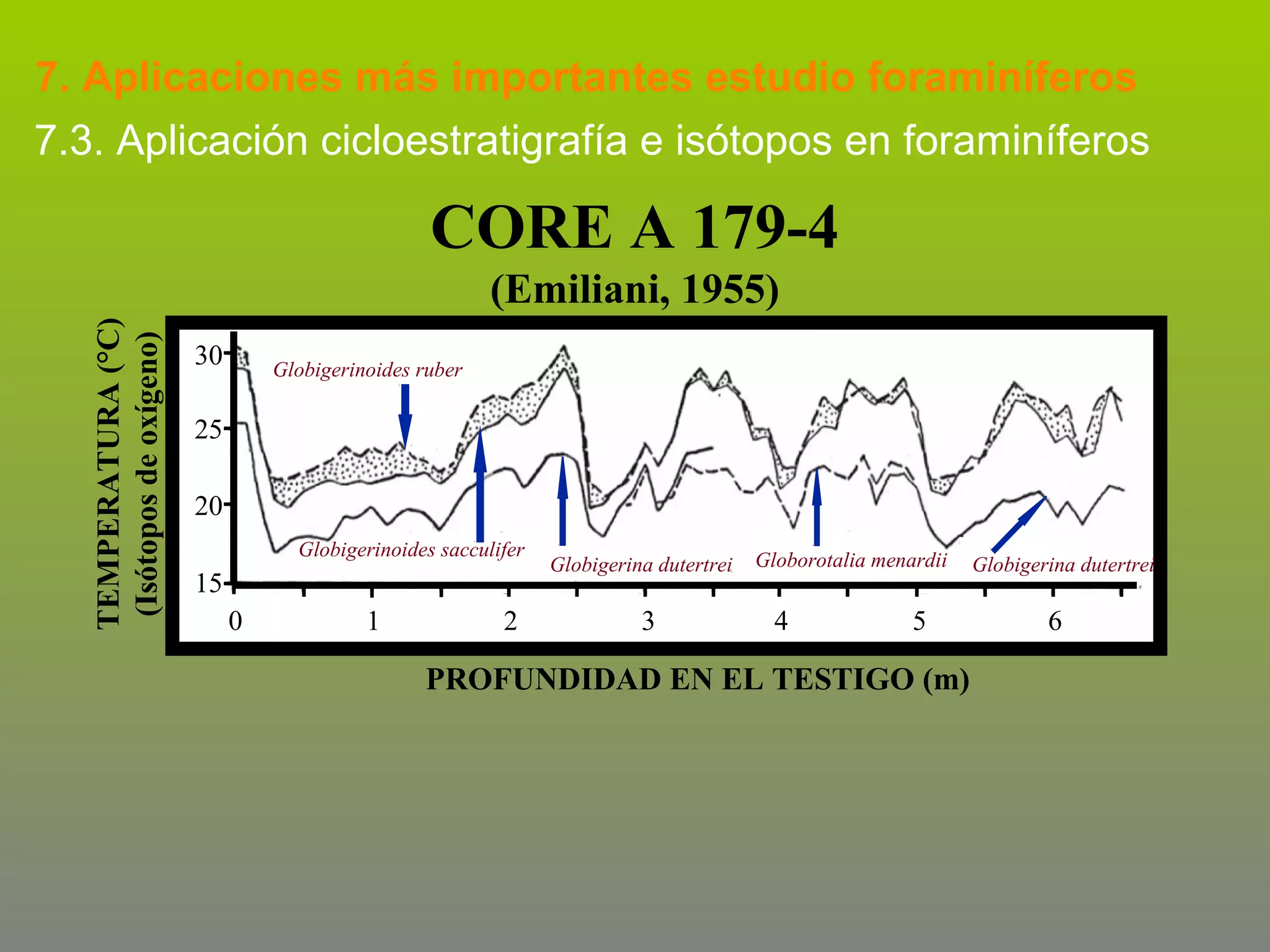 7. Aplicaciones más importantes estudio foraminíferos
7.3. Aplicación cicloestratigrafía e isótopos en foraminíferos

CORE A 179-4
TEMPERATURA (°C)
(Isótopos de oxígeno)

(Emiliani, 1955)
30

Globigerinoides ruber

25
20
Globigerinoides sacculifer

15
0

1

2

Globigerina dutertrei

3

Globorotalia menardii

4

5

PROFUNDIDAD EN EL TESTIGO (m)

Globigerina dutertrei

6

 