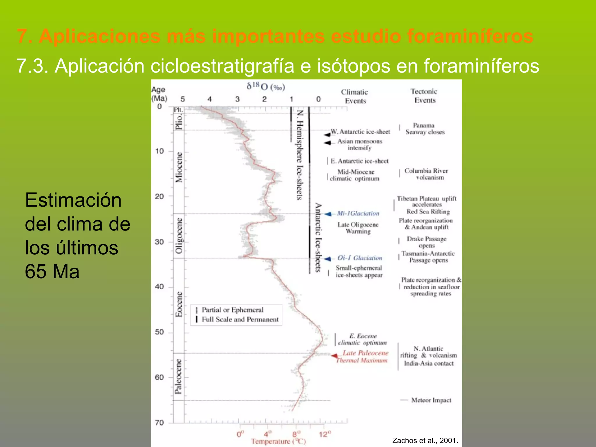 7. Aplicaciones más importantes estudio foraminíferos
7.3. Aplicación cicloestratigrafía e isótopos en foraminíferos

Estimación
del clima de
los últimos
65 Ma

Zachos et al., 2001.

 
