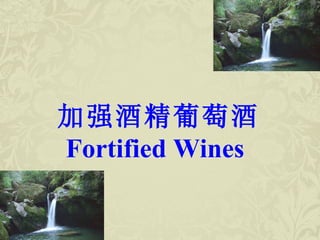 加强酒精葡萄酒 Fortified Wines  