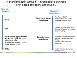Mlst Database Whole Genome Sequencing (WGS) for food safety management in France ...