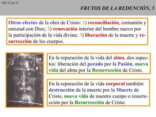 FRUTOS DE LA REDENCIÓN, 5FRUTOS DE LA REDENCIÓN, 5
Otros efectos de la obra de Cristo: 1) reconciliación, comunión y
amistad con Dios; 2) renovación interior del hombre nuevo por
la participación de la vida divina; 3) liberación de la muerte y re-
surrección de los cuerpos.
En la reparación de la vida del alma, dos aspec-
tos: liberación del pecado por la Pasión, nueva
vida del alma por la Resurrección de Cristo.
En la reparación de la vida corporal también:
destrucción de la muerte por la Muerte de
Cristo, nueva vida de nuestro cuerpo o resurre-
cción por la Resurrección de Cristo.
CR2 53 de 55
 
