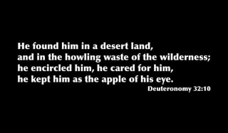 He found him in a desert land,
and in the howling waste of the wilderness;
he encircled him, he cared for him,
he kept him as the apple of his eye.
Deuteronomy 32:10
 