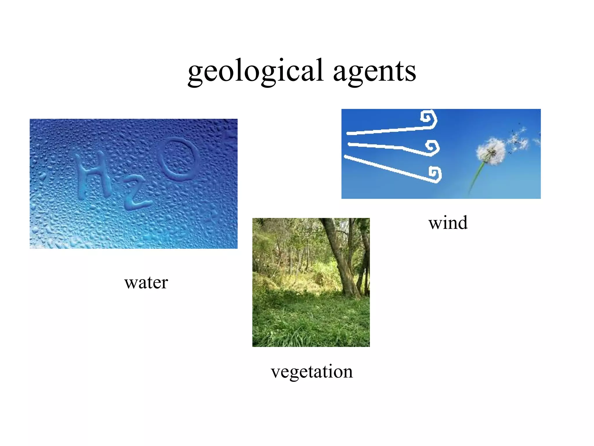 geological agents
water
wind
vegetation